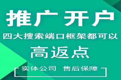 实战经验：竞价推广公司成功案例解析
